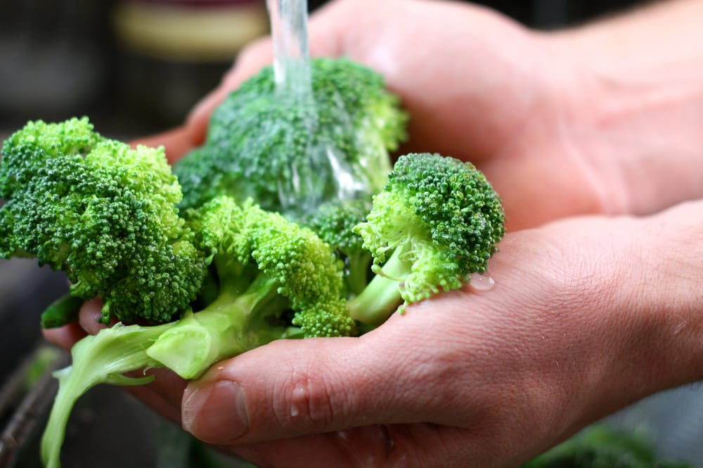 Four Food Safety Tips to Stay Hale and Hearty